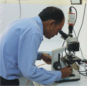 Microscopy & Microstructure Analysis